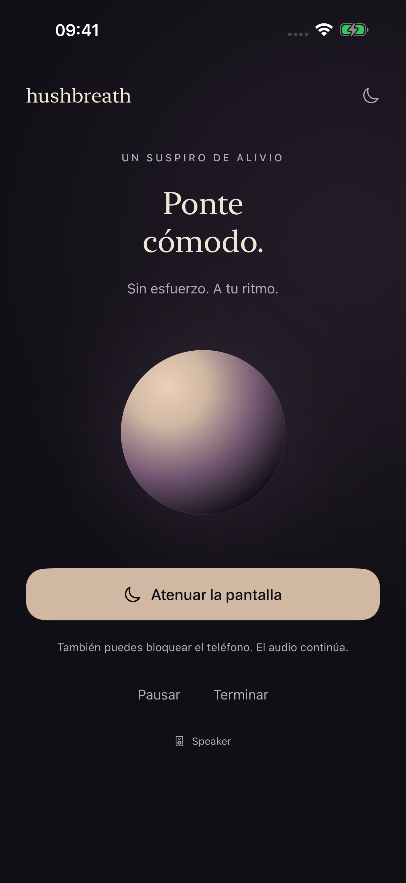 Sesión de respiración guiada